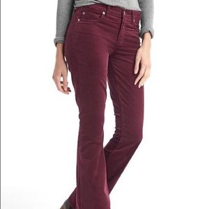 Tommy Hilfiger / Burgundy Boot Cut Corduroy Pants